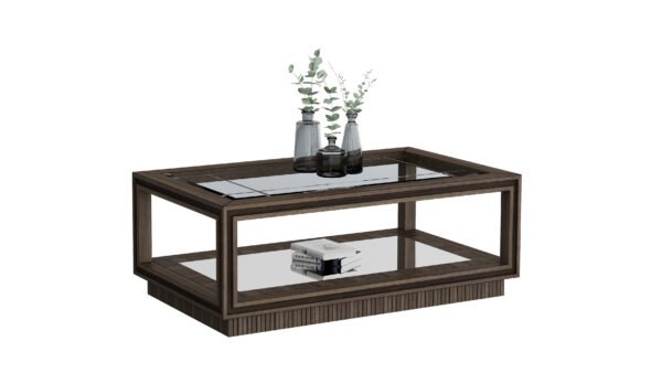 Clear Glass Wooden Coffee Table